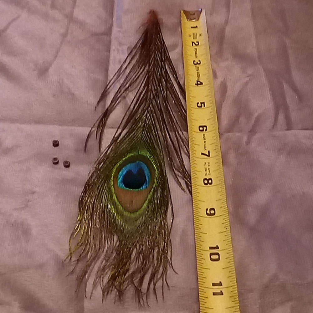 Hair Statement Peacock Feather! - Picture 4 of 6